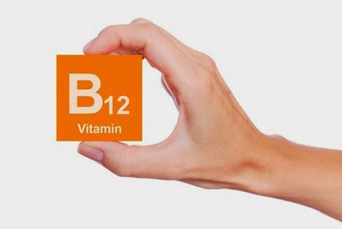 Các Chất Dinh Dưỡng Người Ăn Chay Dễ Bị Thiếu Hụt vitamin b12
